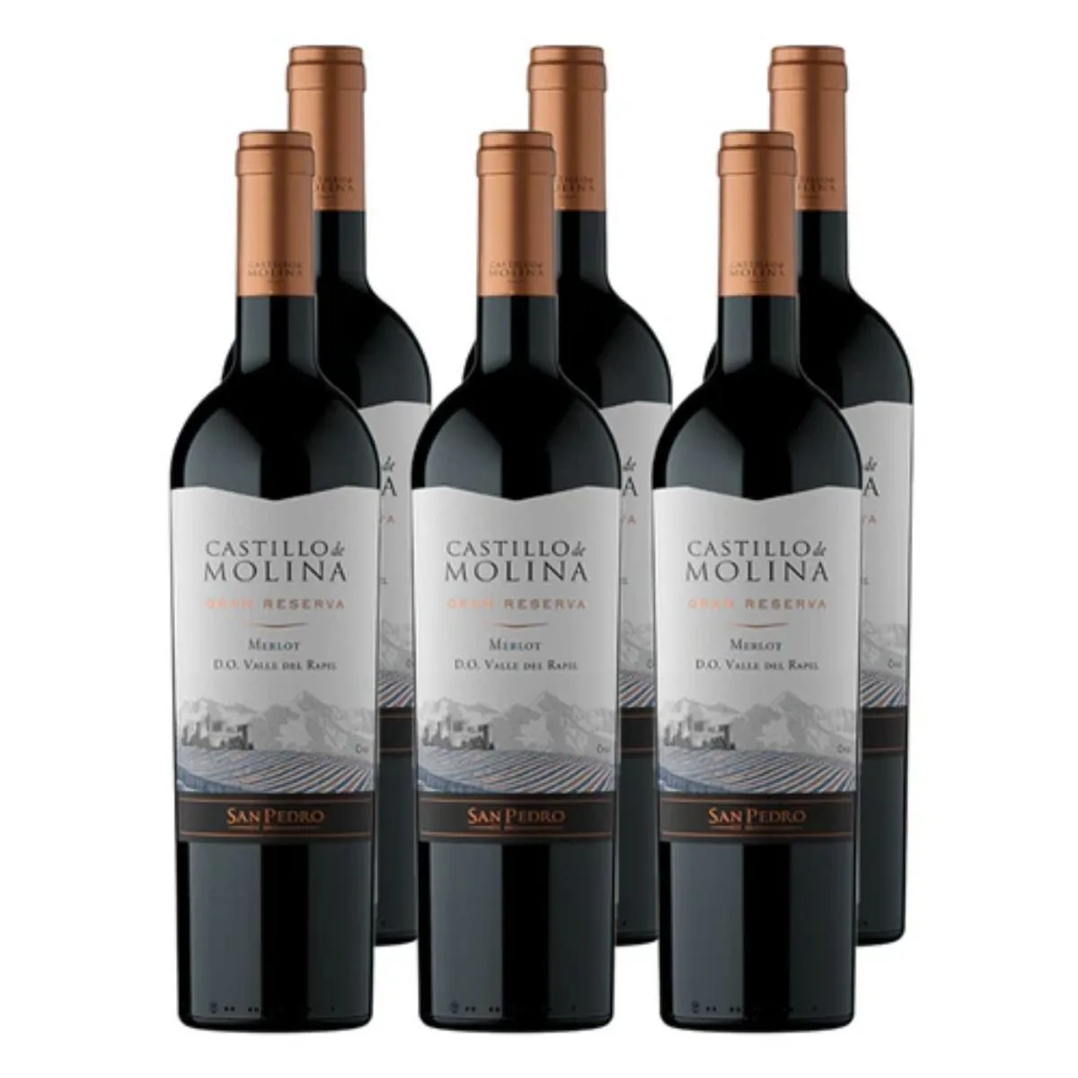 6 Vino Castillo de Molina Gran reserva Merlot 750cc