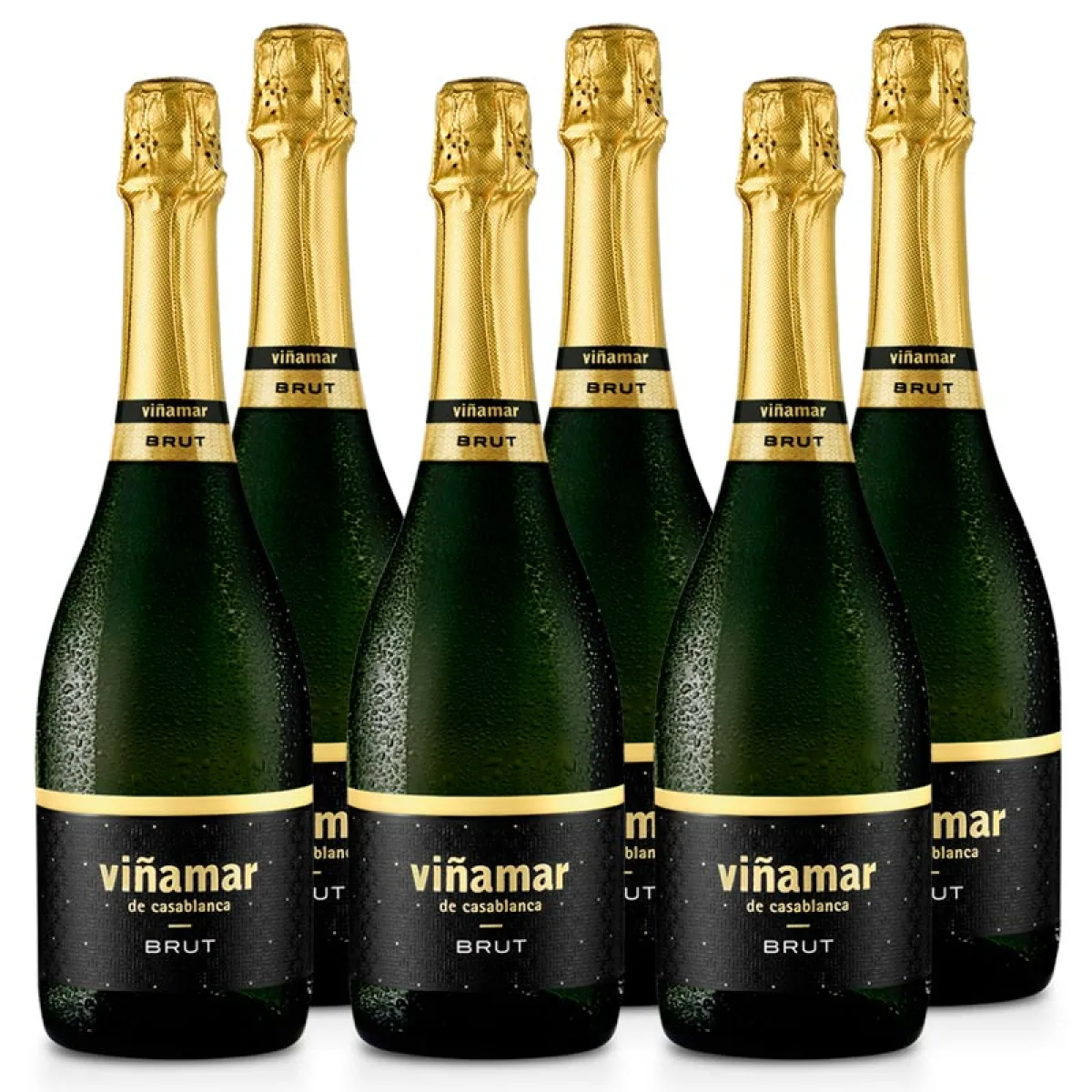 6 Espumante Viña Mar Brut 750cc
