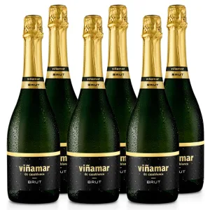 6 Espumante Viña Mar Brut 750cc