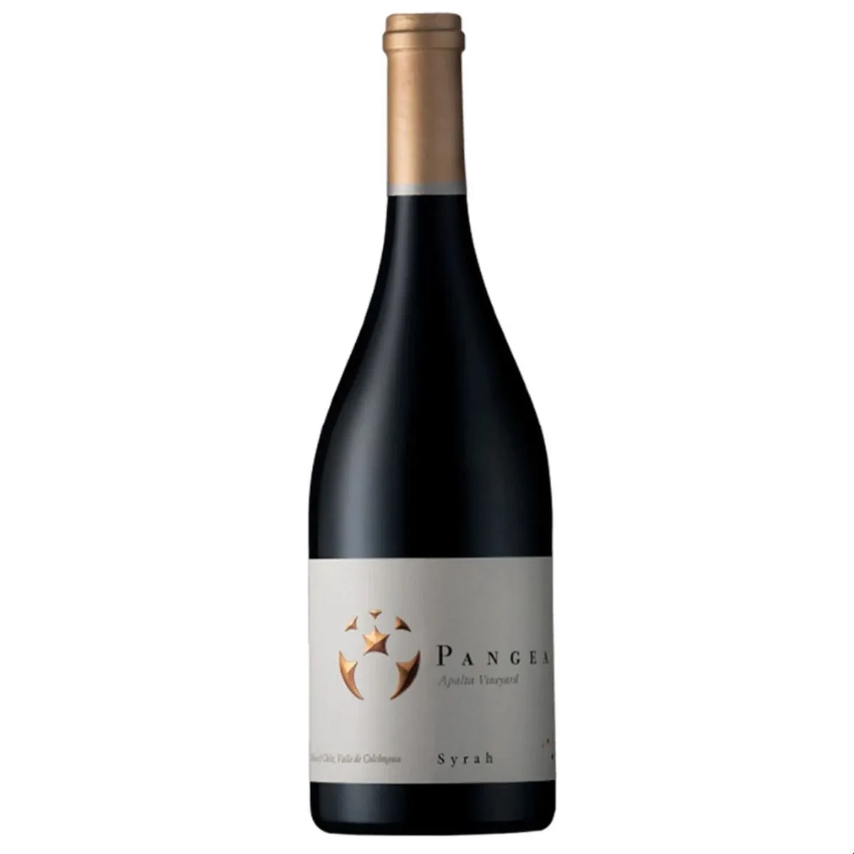 Ventisquero Pangea Syrah