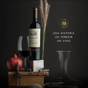 Vino Don Melchor 750cc