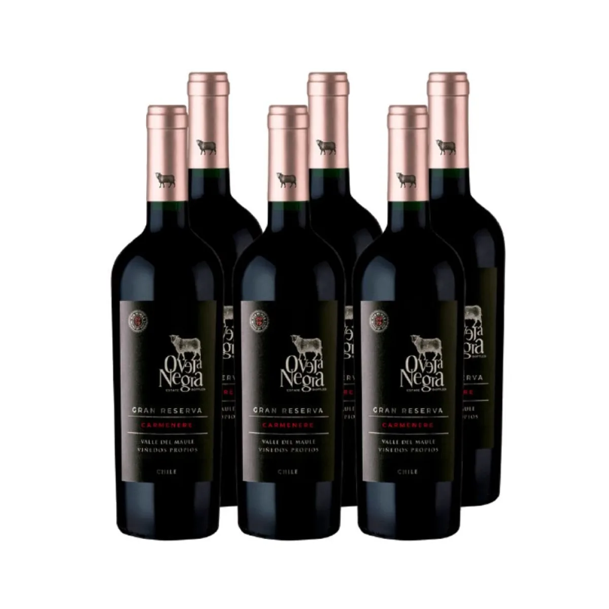 6 Vinos Oveja Negra Gran Reserva Cabernet Franc/Carmenere