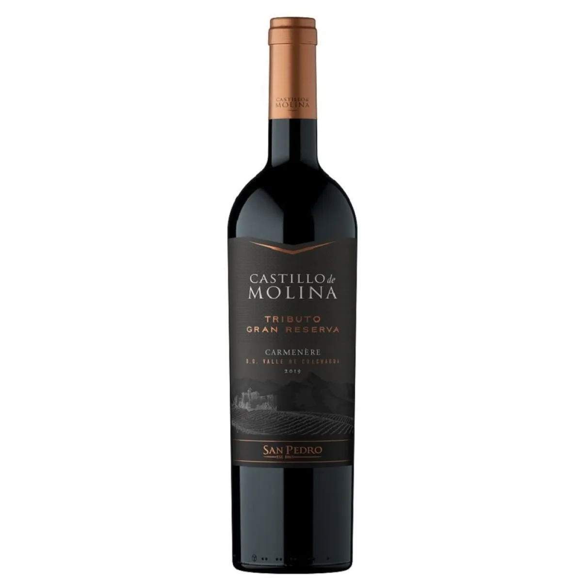 Vino Castillo de Molina Tributo Gran Rsva Carmenere 750cc