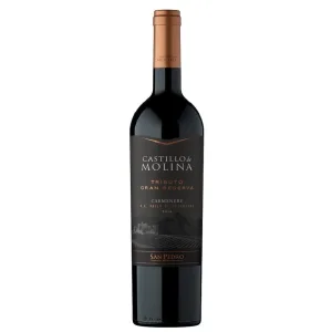 Vino Castillo de Molina Tributo Gran Rsva Carmenere 750cc