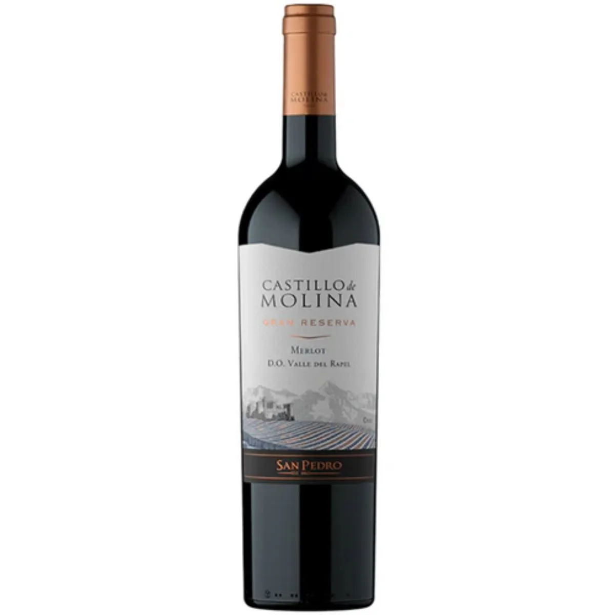 Vino Castillo de Molina Gran Reserva Merlot 750cc