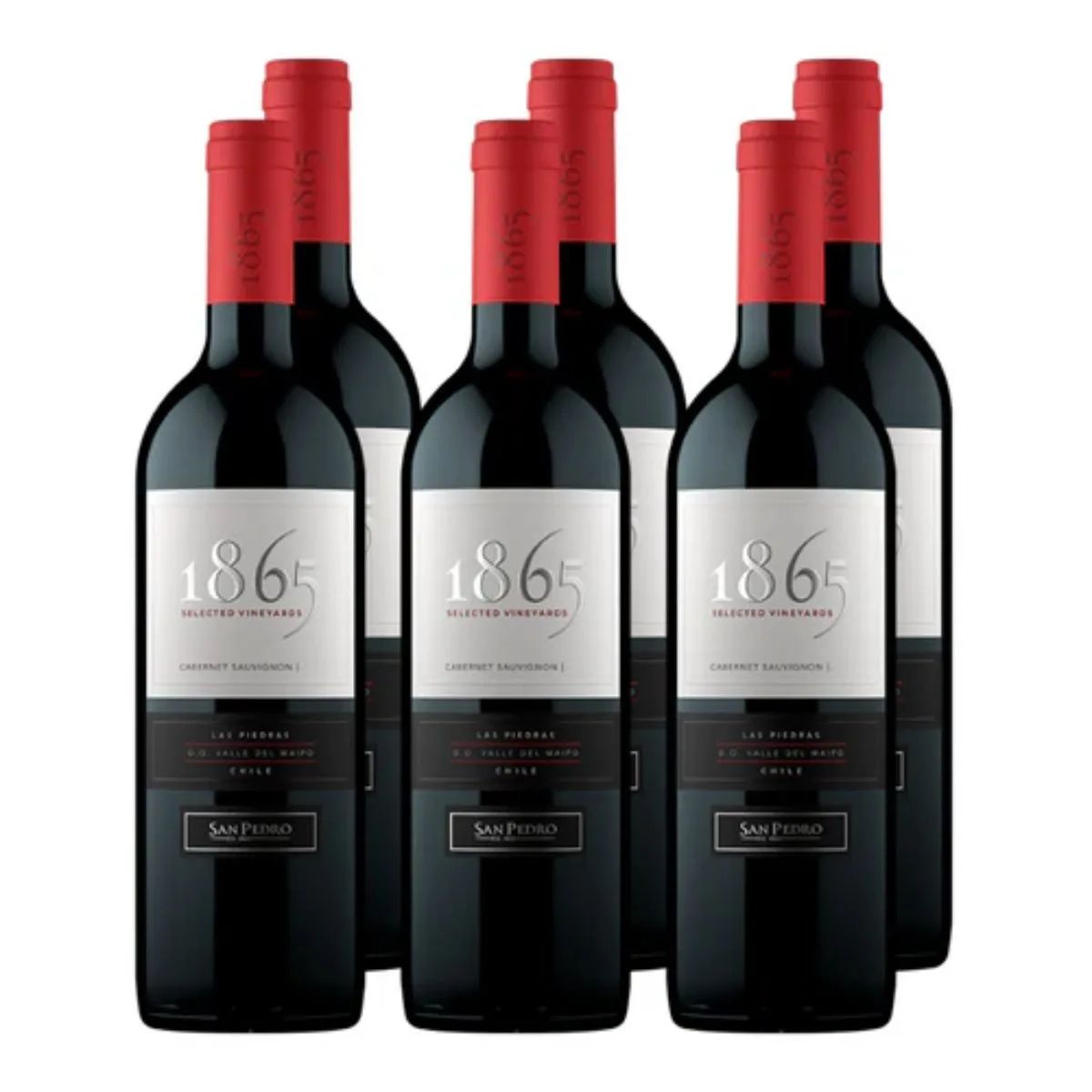 x6 Vino 1865 Selected Vineyards Cabernet Sauvignon 750cc