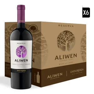 6x Vino Aliwen Reserva Cabernet Sauvignon-Carmenere 750cc